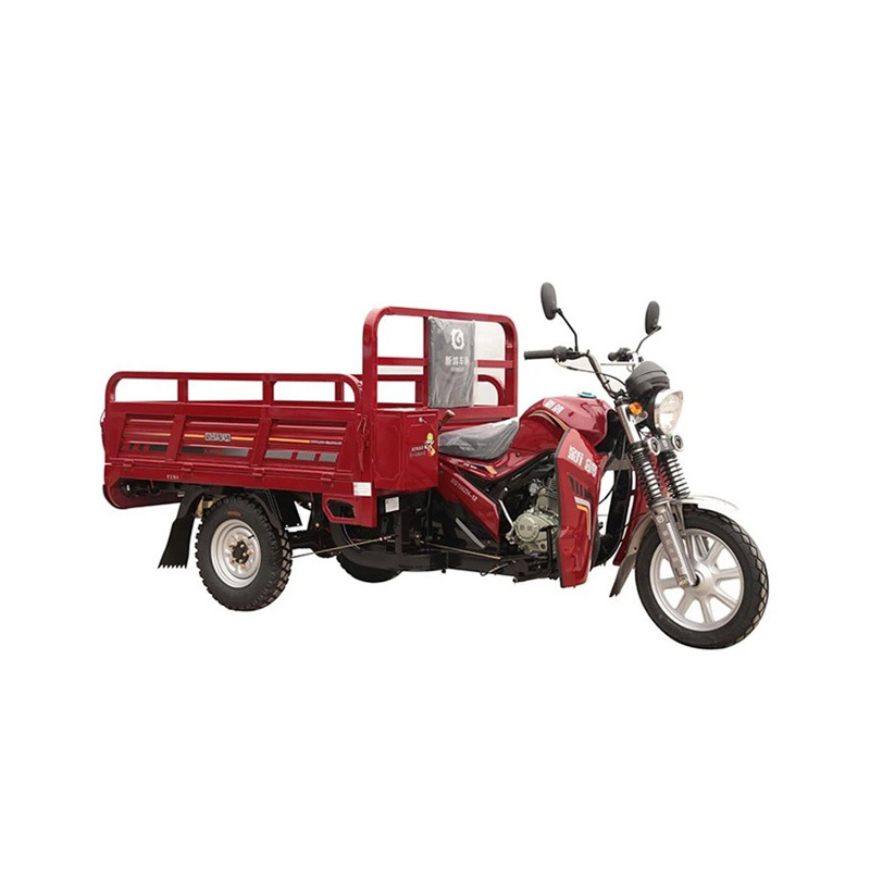 150cc Tricycle à moteur adulte Passager 3 Wheeler